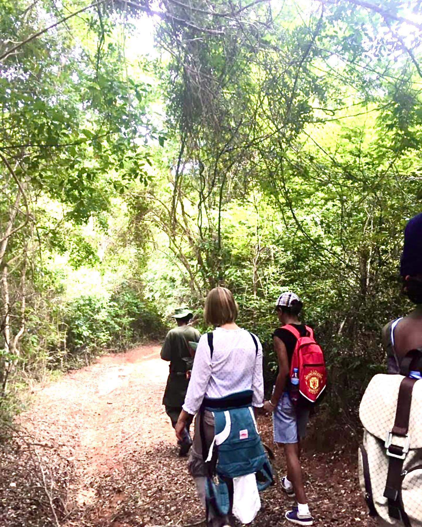 Explore The Stunning Pande Game Reserve On Our Nature Hike