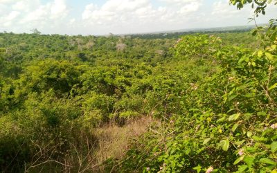 Pande Game Reserve Nature Hike